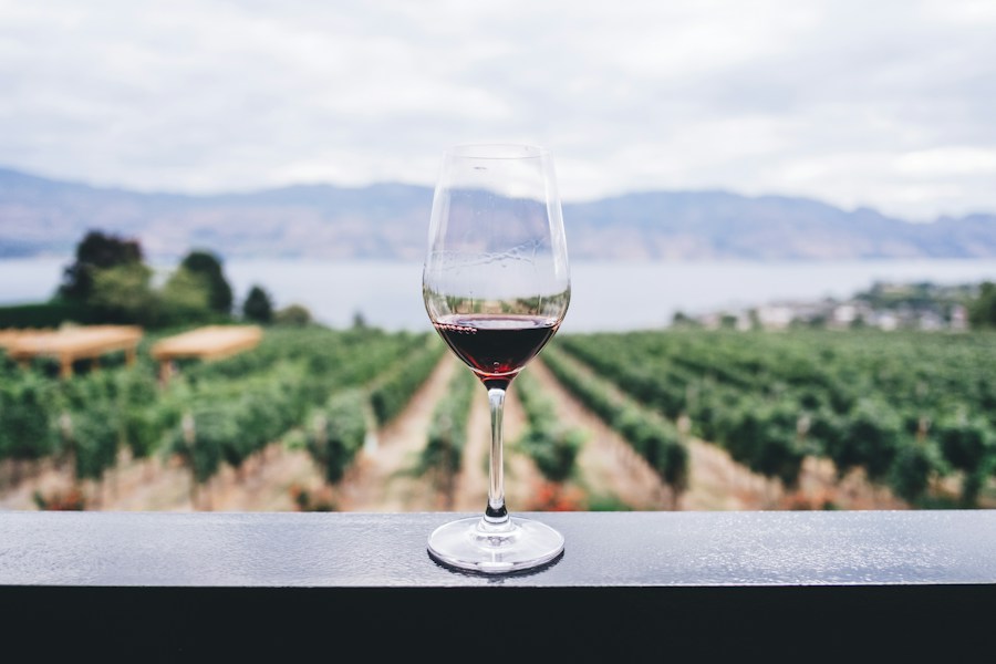 Verre de vin devant les vignes, photographie d’ambiance